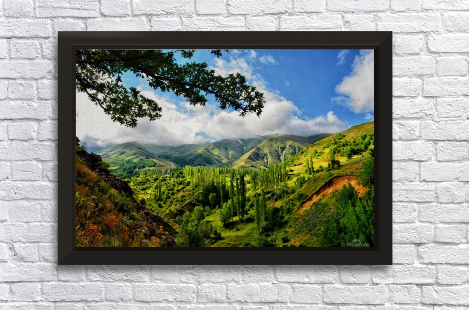 Beautiful Nature Landscape Tree Forest Trees Photography landscape