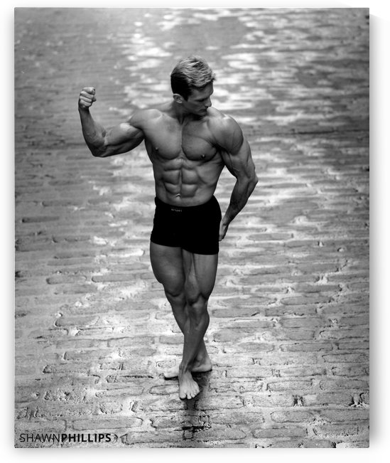 Shawn Phillips // Art Collection