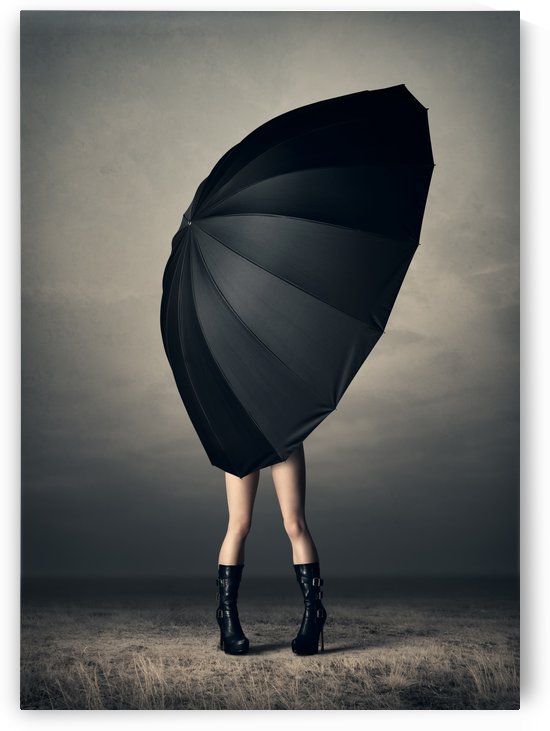 Johan Swanepoel // Art Collection