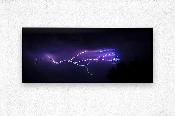 Branched Lightning Bolt Illuminating A Dark Sky Creative Endeavors Steven Oscherwitz