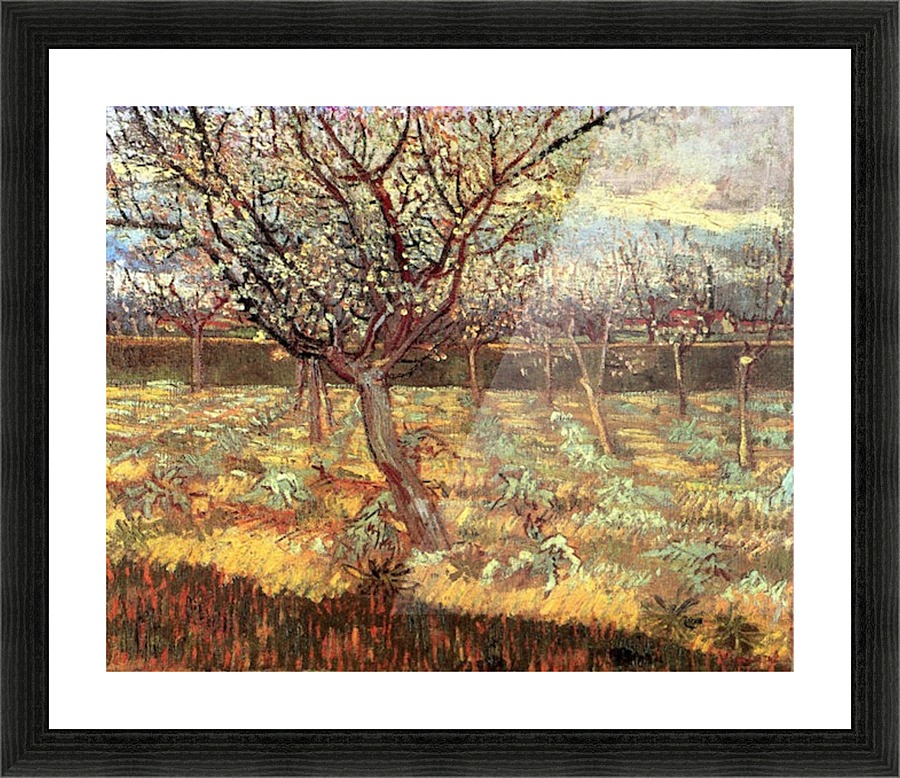 Apricot Trees in Blossom2 by Van Gogh Van Gogh