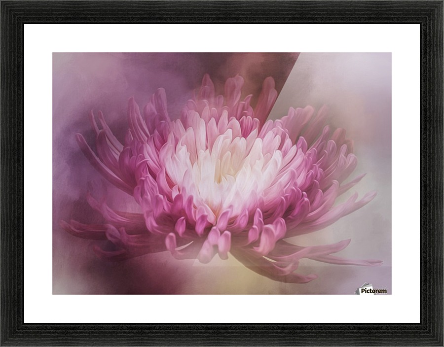 The Gift Flower Art Jordan Blackstone