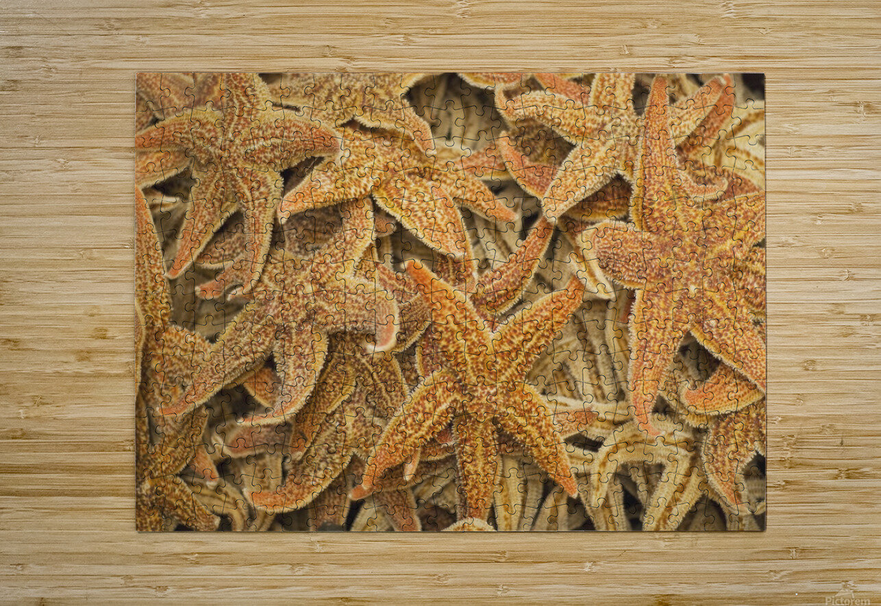 starfish printer ink