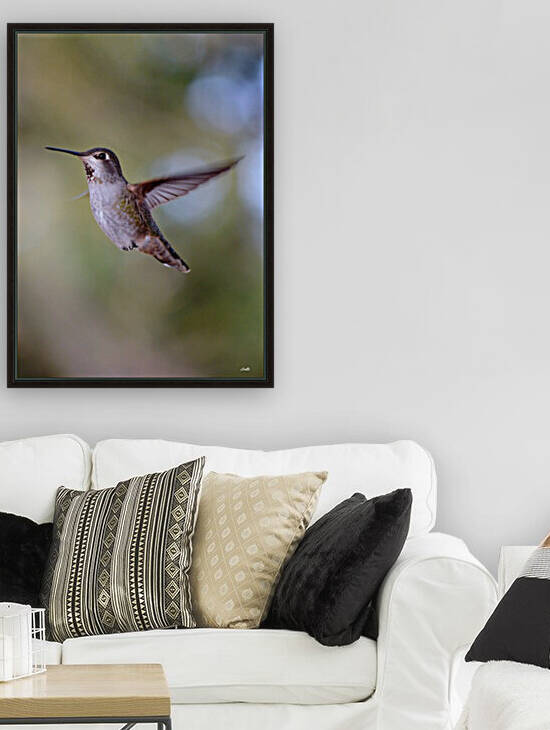 Lynn Prudhomme Mills // Art Collection