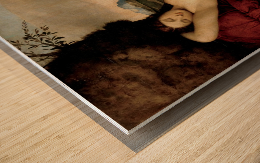 Sleeping Venus - Giorgione